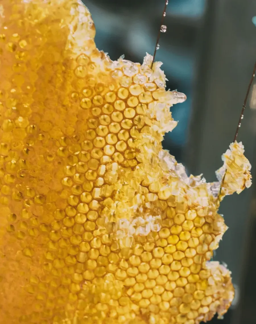Raw Honey
